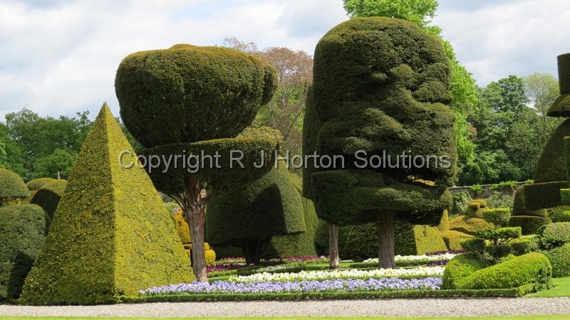 Levens Hall C